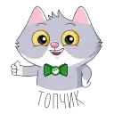 СберКот Animated preview