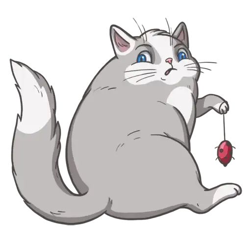 Random funny cats preview