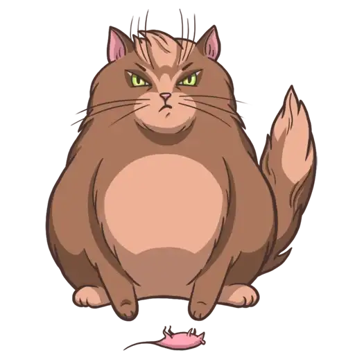 Random funny cats preview